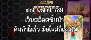 slot wallet 789